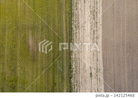 sown agricultural field, view from above sown agricultural field, view from above 142125468