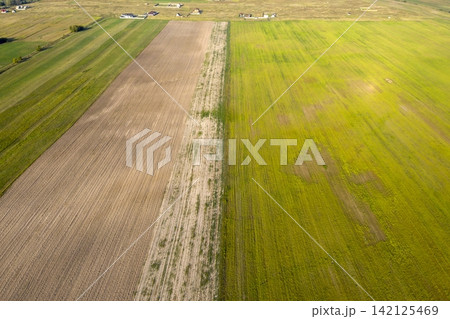 sown agricultural field, view from above sown agricultural field, view from above 142125469