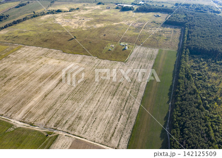 sown agricultural field, view from above 142125509