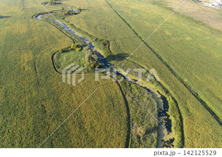 sown agricultural field, view from above 142125529