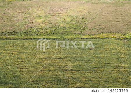 sown agricultural field, view from above sown agricultural field, view from above 142125556