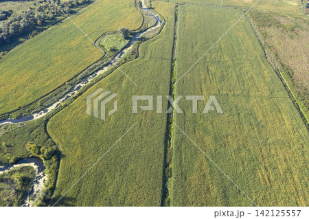 sown agricultural field, view from above sown agricultural field, view from above 142125557