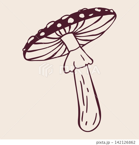 Forest Mushroom with Spotted Cap, Gills and Ring. Hand Drawn Doodle Style Fungus with Maroon Lines on Beige Background. Minimalist Outline Icon and Symbol for Forest Print, Label and Poster Forest Mushroom with Spotted Cap, Gills and Ring. Hand Drawn Doodle Style Fungus with Maroon Lines on Beige Background. Minimalist Outline Icon and Symbol for Forest Print, Label and Poster 142126862