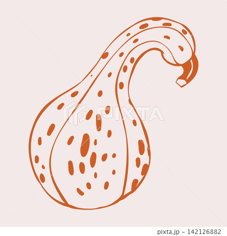 Curved Neck Gourd with Speckled Orange Skin. Hand Drawn Doodle Style Vegetable Illustration Isolated on Beige Background. Minimalist Outline Icon and for Halloween Poster, Farm Shop Label, Packaging 142126882
