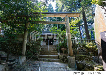 武蔵神社の鳥居と社殿 武蔵神社の鳥居と社殿 142127070