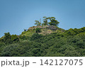 利神城の遠景 142127075