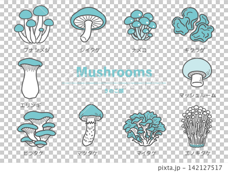 一組描繪了10種不同蘑菇的插圖。 一組描繪了10種不同蘑菇的插圖。 142127517