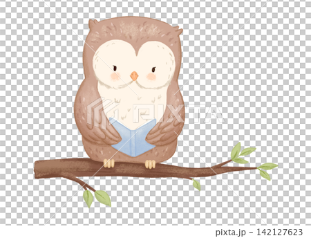 Cute owl reading book on tree branch. Watercolour illustration isolated on white background for children Cute owl reading book on tree branch. Watercolour illustration isolated on white background for children 142127623
