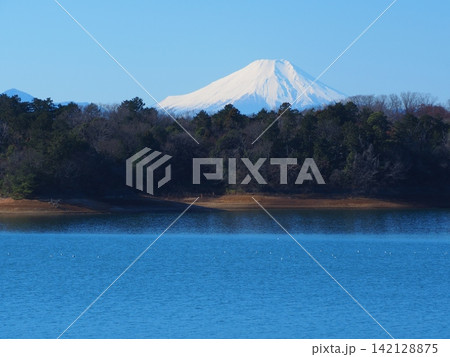 冬の多摩湖畔から望む富士 冬の多摩湖畔から望む富士 142128875