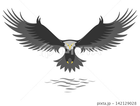 Modern simple eagle logo design, stylized graphic eagle, flying above the water,isolated on the white background. Modern simple eagle logo design, stylized graphic eagle, flying above the water,isolated on the white background. 142129028