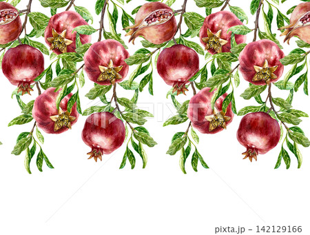 Pomegranate branches seamless border, horizontal. Ripe fruits and green leaves. Hand drawn watercolor illustration in a botanical style, isolated. Suitable for wallpaper, juice labels and cosmetics. Pomegranate branches seamless border, horizontal. Ripe fruits and green leaves. Hand drawn watercolor illustration in a botanical style, isolated. Suitable for wallpaper, juice labels and cosmetics. 142129166