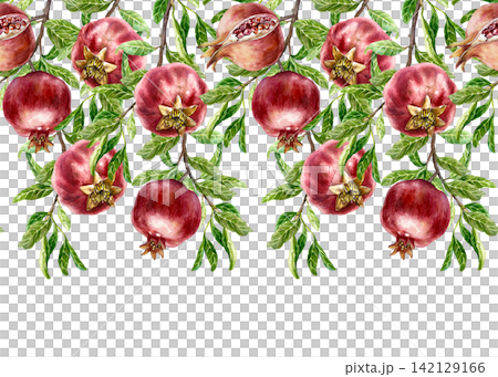 Pomegranate branches seamless border, horizontal. Ripe fruits and green leaves. Hand drawn watercolor illustration in a botanical style, isolated. Suitable for wallpaper, juice labels and cosmetics. Pomegranate branches seamless border, horizontal. Ripe fruits and green leaves. Hand drawn watercolor illustration in a botanical style, isolated. Suitable for wallpaper, juice labels and cosmetics. 142129166