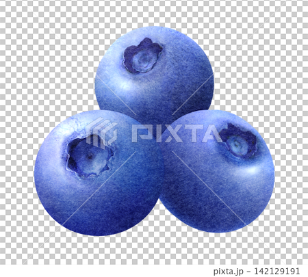 新鮮藍莓的水彩插圖 142129191
