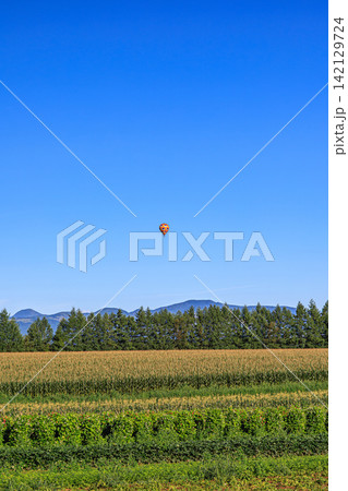 北海道・上士幌の雄大な自然と真っ青な空に浮かぶ小さな熱気球の絶景 北海道・上士幌の雄大な自然と真っ青な空に浮かぶ小さな熱気球の絶景 142129724