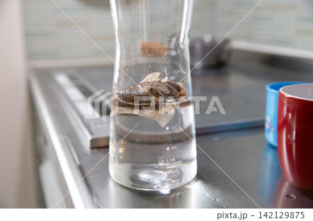 水を入れたばかりの麦茶パック 水を入れたばかりの麦茶パック 142129875
