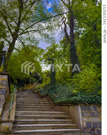 Steps leading through greenery Steps leading through greenery 142130253