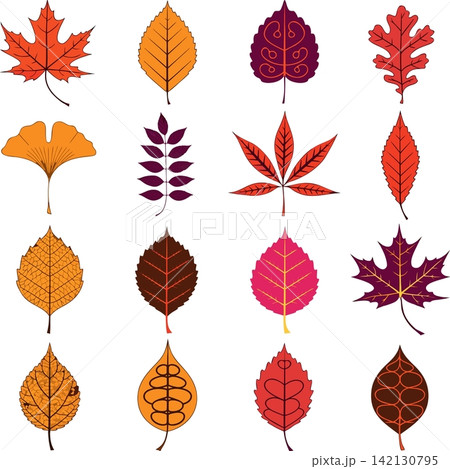 The image displays a collection of autumn leaves featuring diverse shapes, botanical types, and a seasonal color palette 142130795