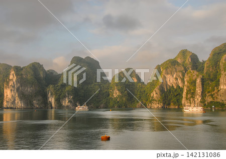 Halong Bay in Vietnam in the morning just after sunrise. Tourist cruise ships are moored in the bay. 142131086