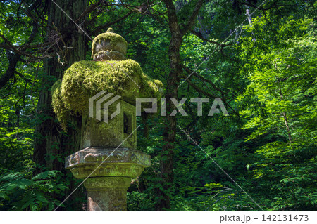 山形 羽黒山 森の中の苔むす灯篭 142131473