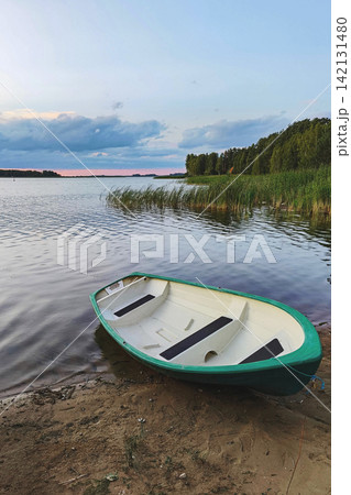Green and white rowboat resting on sandy lakeshore beside calm water, tall reeds and forest under soft evening sky 142131480