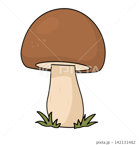 Cute brown mushroom fungus nature autumn forest botanical sticker print visual graphic clipart artwork design icon element illustration 142131482