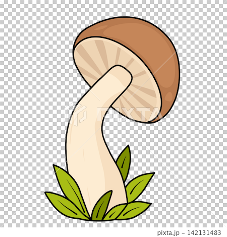 Cute brown mushroom fungus in grass nature autumn forest sticker print visual graphic clipart artwork design icon element illustration Cute brown mushroom fungus in grass nature autumn forest sticker print visual graphic clipart artwork design icon element illustration 142131483