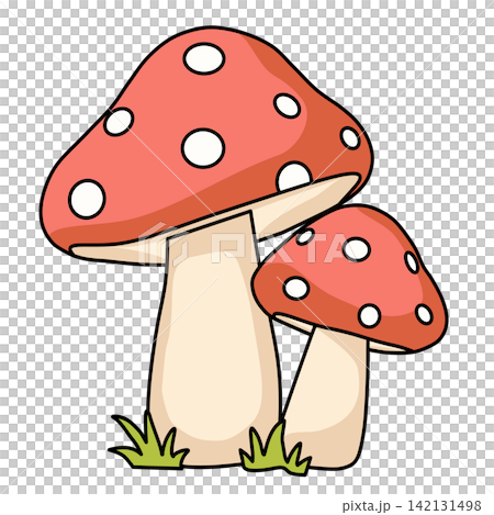 Pair of cute red spotted fly agaric mushrooms toadstool in grass nature autumn forest sticker print visual graphic clipart artwork design icon element illustration Pair of cute red spotted fly agaric mushrooms toadstool in grass nature autumn forest sticker print visual graphic clipart artwork design icon element illustration 142131498