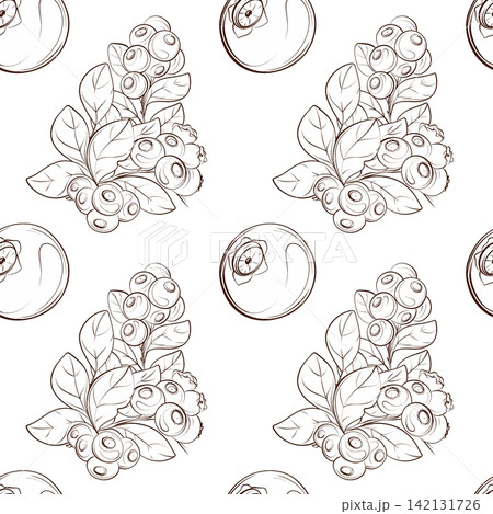 Blueberry seamless vector pattern with berries and leaves, elegant contour botanical illustration for cosmetics, packaging, textiles and wrapping paper Blueberry seamless vector pattern with berries and leaves, elegant contour botanical illustration for cosmetics, packaging, textiles and wrapping paper 142131726