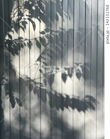Leaves shadows on corrugated metal wall. Leaves reflection, sunlight and nature background Leaves shadows on corrugated metal wall. Leaves reflection, sunlight and nature background 142131768