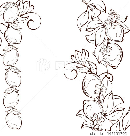 Vertical composition with lemon and citrus branches, botanical fine line vector illustration in refined French style for beverage packaging, branding, stationery and labels Vertical composition with lemon and citrus branches, botanical fine line vector illustration in refined French style for beverage packaging, branding, stationery and labels 142131795
