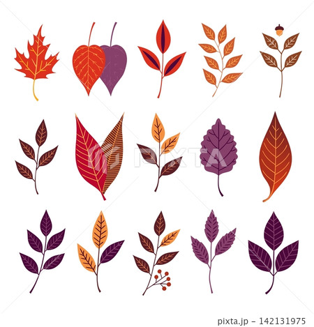 This image features a collection of flat vector autumn leaves and botanical elements in various autumn colors This image features a collection of flat vector autumn leaves and botanical elements in various autumn colors 142131975