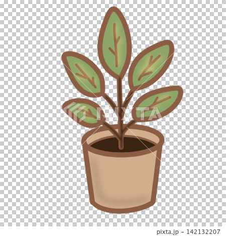 Green potted houseplant rubber tree in ceramic pot home cafe interior decor sticker print visual graphic clipart artwork design icon element illustration Green potted houseplant rubber tree in ceramic pot home cafe interior decor sticker print visual graphic clipart artwork design icon element illustration 142132207