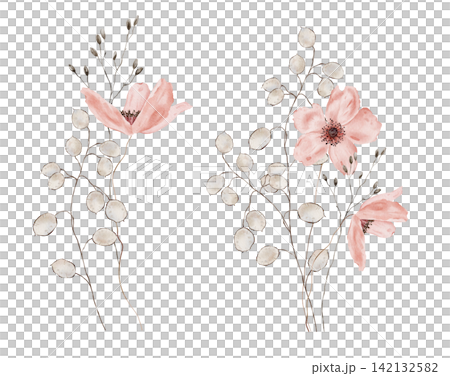 Hand drawn watercolor botanical illustration of soft pink blossoms paired with silvery foliage and fine stems. Bouquets flowers with dark centers and slender wildflower stalks. For invitations, cards Hand drawn watercolor botanical illustration of soft pink blossoms paired with silvery foliage and fine stems. Bouquets flowers with dark centers and slender wildflower stalks. For invitations, cards 142132582