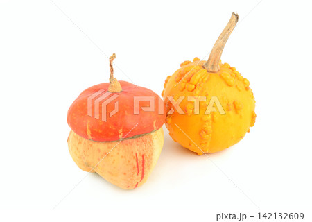 Two Decorative Autumn Pumpkins Isolated on White Background Unique Turban Squash and Warty Yellow Gourd Still Life 142132609
