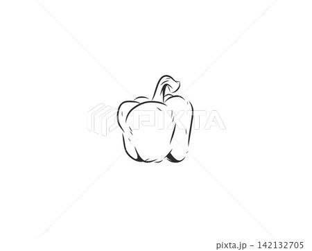 Hand Drawn Bell Pepper Line Art Vector Illustration, Fresh Sweet Pepper Vegetable Outline Sketch, Organic Healthy Food and Farm Produce Isolated on White Background 142132705