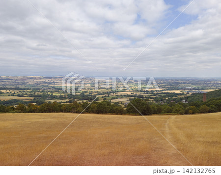 Drought-Affected Yellow Meadow in the English Countryside Drought-Affected Yellow Meadow in the English Countryside 142132765