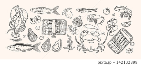 Seafood. Mediterranean food. Hand drawn lineart lobster, crab, sardine, canned fish, oyster, shrimp, spice, tomato. Doodle dolce vita style for cafe menu, poster. Vector set 142132899
