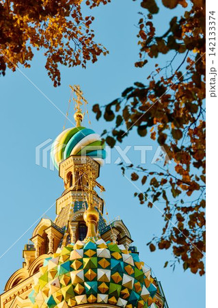 The golden domes of the cathedral were Saved on Blood through yellow foliage and the wrought-iron gates of the Mikhailovsky Garden on a sunny autumn evening The golden domes of the cathedral were Saved on Blood through yellow foliage and the wrought-iron gates of the Mikhailovsky Garden on a sunny autumn evening 142133374