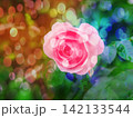 ピンクバラ ピンクバラ 142133544