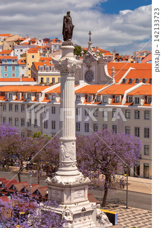 Pedro IV Monument and Jacaranda Trees at Rossio Square in Lisbon, Portugal Pedro IV Monument and Jacaranda Trees at Rossio Square in Lisbon, Portugal 142133723