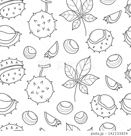Outline Autumn Chestnut Seamless Pattern Hand Drawn. Black Linear Art Tree Leaf, Whole, Prickly Shell, Cracked, Empty Husk and Smooth Nut on White Background. Vector Illustrations for Botanical design 142133854