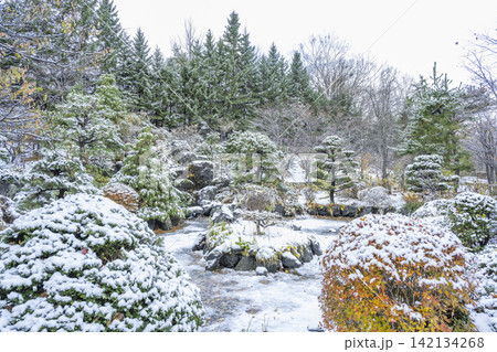 雪化粧の日本庭園　天神山緑地　札幌市 142134268