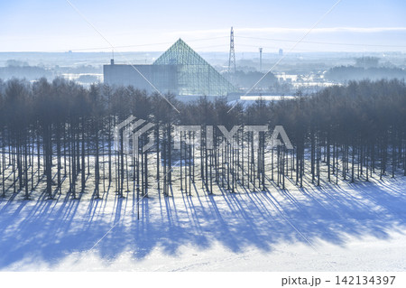 プレイマウンテン山頂からガラスのピラミッド、カラマツ林 モエレ沼公園 札幌市 プレイマウンテン山頂からガラスのピラミッド、カラマツ林 モエレ沼公園 札幌市 142134397