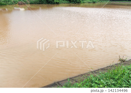 濁水 濁水 142134496