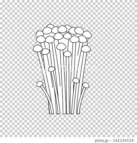 黑白金針菇及其他秋季蘑菇食材的線條畫。 黑白金針菇及其他秋季蘑菇食材的線條畫。 142134519