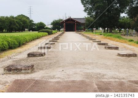下野薬師寺 下野薬師寺 142135743