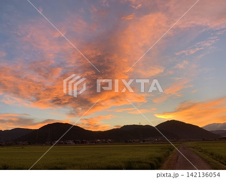 日本の夕焼け〜田園風景 日本の夕焼け〜田園風景 142136054