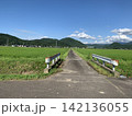 夏の田舎道 142136055