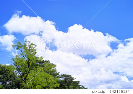 青空と雲イメージ 青空と雲イメージ 142136184