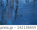 凍った水と冷たい水の境 142136605